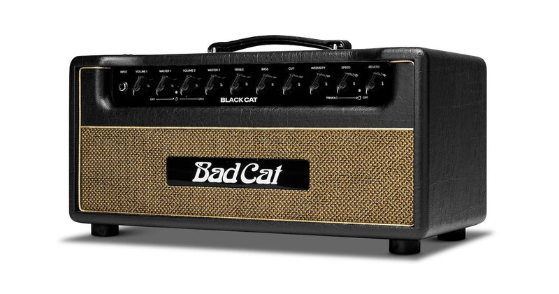 A Bad Cat Amplifiers Black Cat Head 20W 2 Channel Amp sitting on a shelf in a room.