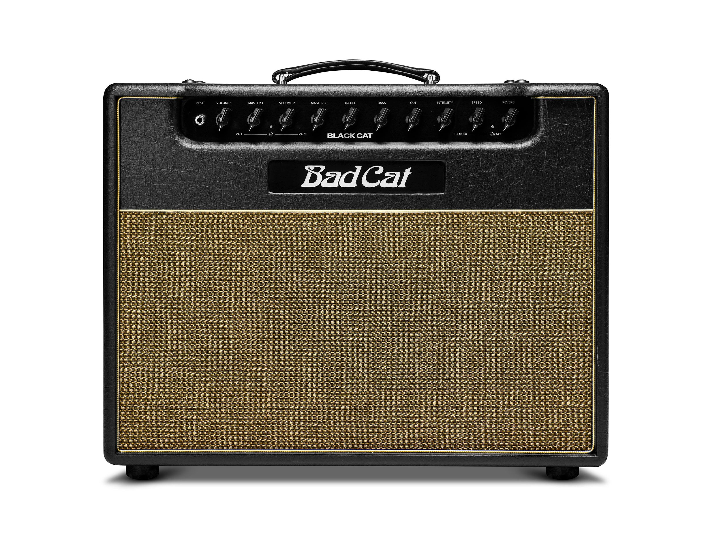 Bad Cat Amplifiers Black Cat 1x12 Combo 20W 2 Channel Amp Direct Ship